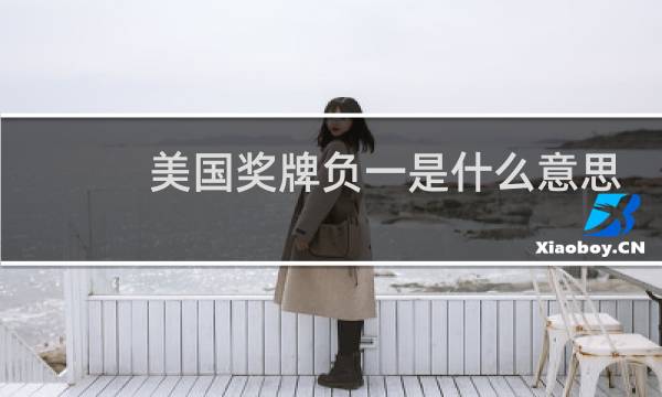 美国奖牌负一是什么意思