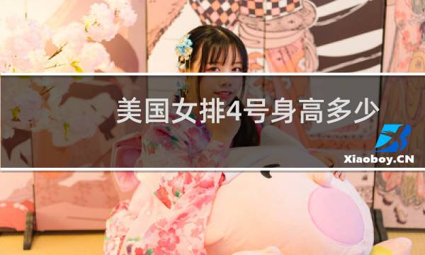 美国女排4号身高多少