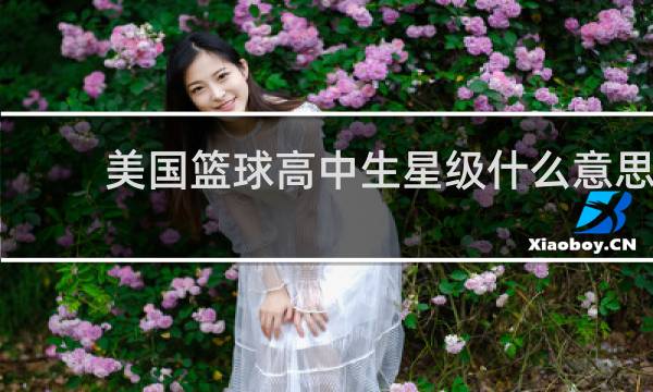 美国篮球高中生星级什么意思