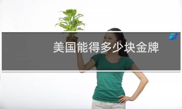 美国能得多少块金牌