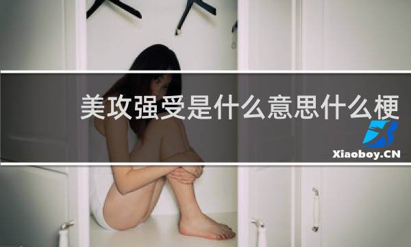美攻强受是什么意思什么梗