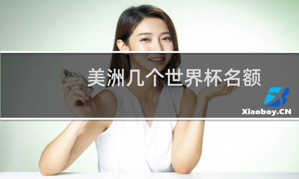 美洲几个世界杯名额