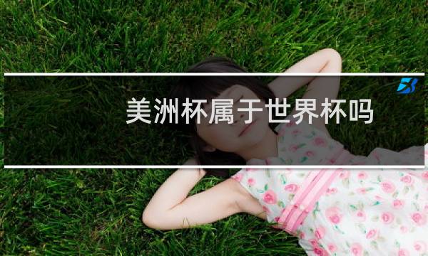 美洲杯属于世界杯吗
