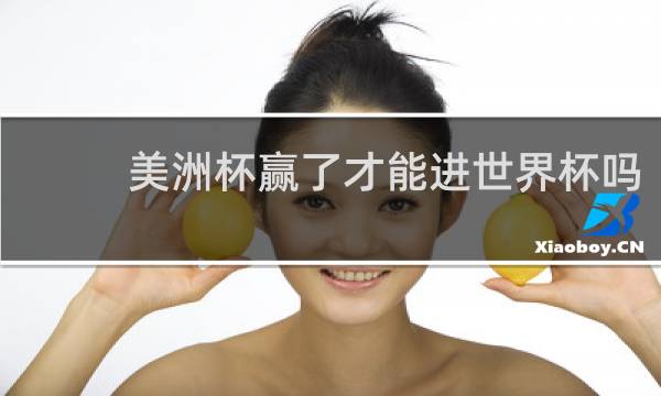 美洲杯赢了才能进世界杯吗