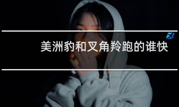 美洲豹和叉角羚跑的谁快