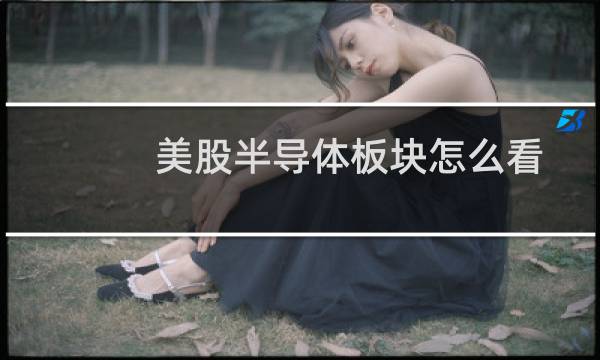 美股半导体板块怎么看图片