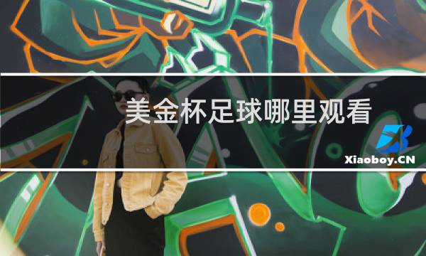 美金杯足球哪里观看