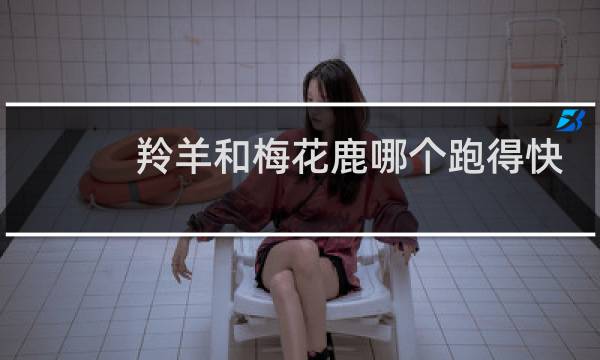 羚羊和梅花鹿哪个跑得快
