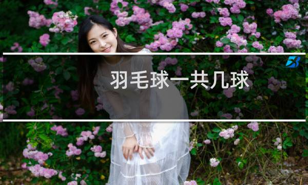 羽毛球一共几球
