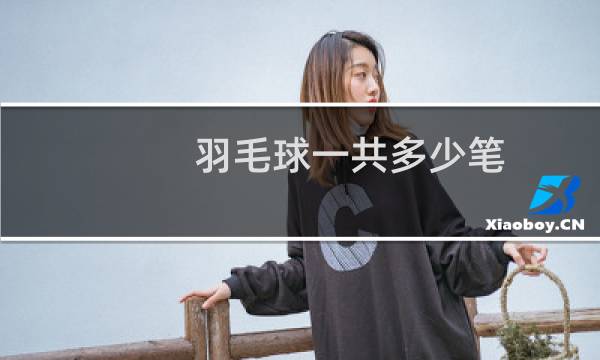 羽毛球一共多少笔