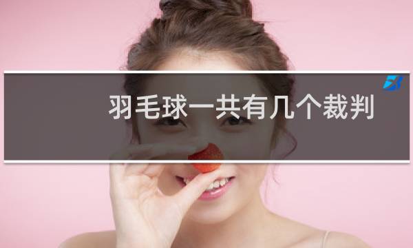 羽毛球一共有几个裁判