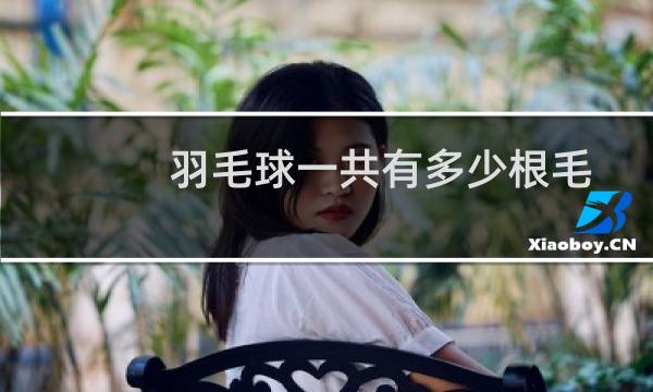 羽毛球一共有多少根毛