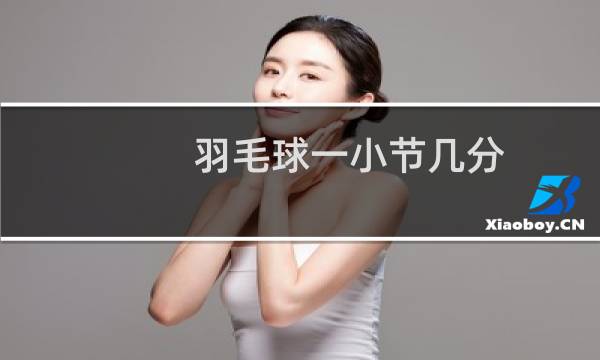 羽毛球一小节几分