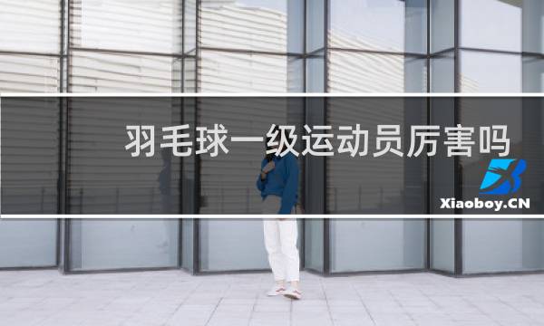 羽毛球一级运动员厉害吗