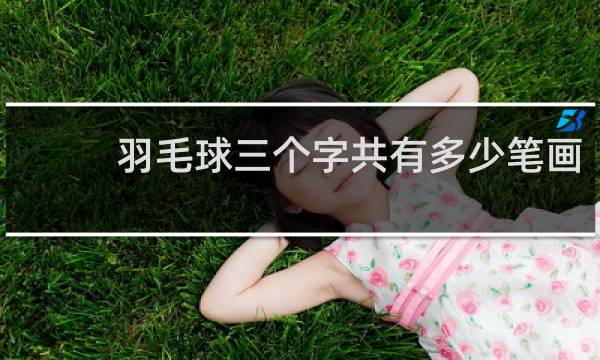 羽毛球三个字共有多少笔画