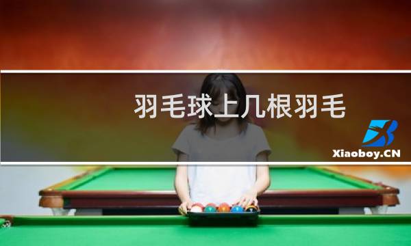 羽毛球上几根羽毛