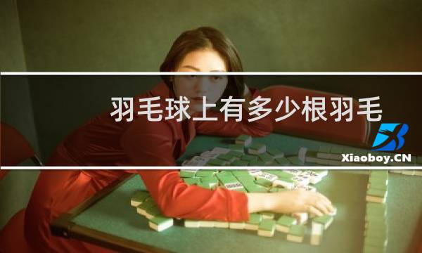 羽毛球上有多少根羽毛