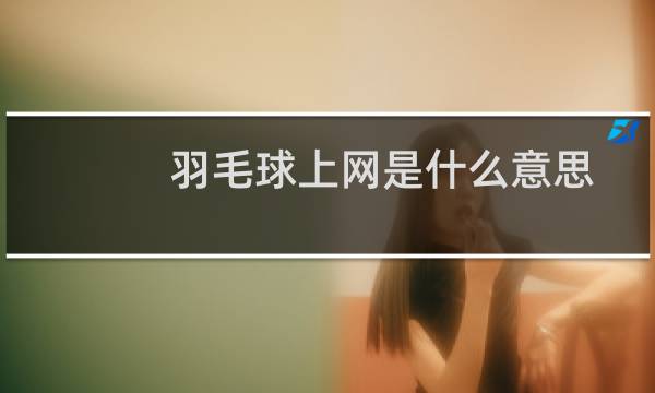 羽毛球上网是什么意思