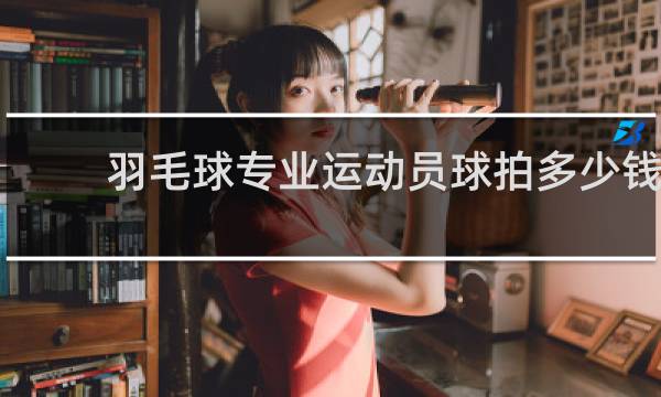 羽毛球专业运动员球拍多少钱