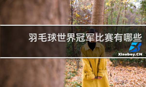 羽毛球世界冠军比赛有哪些