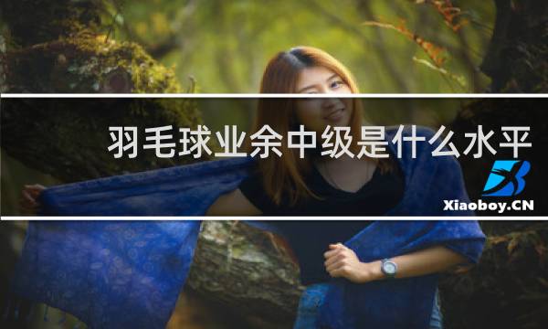 羽毛球业余中级是什么水平