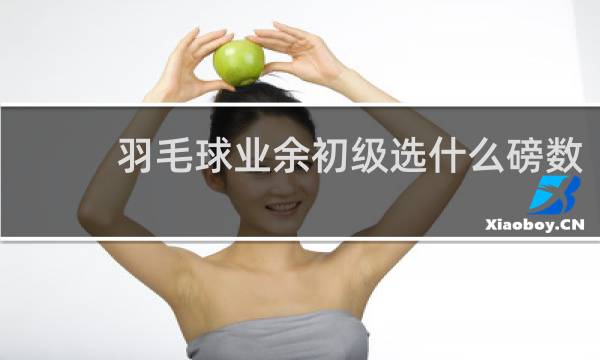 羽毛球业余初级选什么磅数