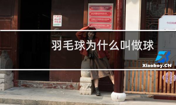 羽毛球为什么叫做球