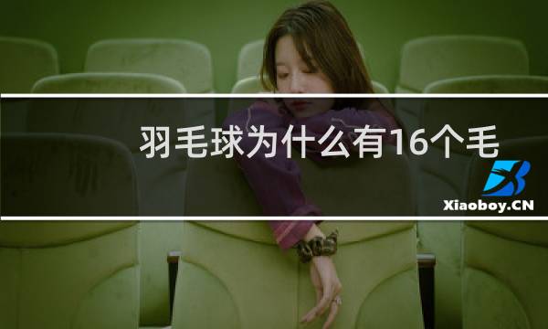 羽毛球为什么有16个毛