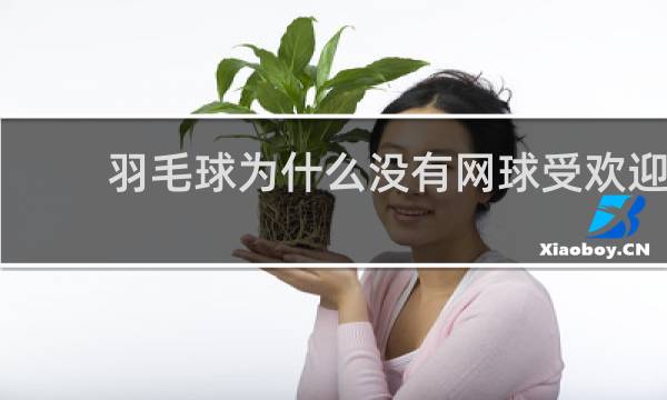 羽毛球为什么没有网球受欢迎