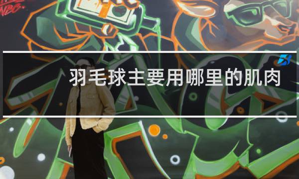 羽毛球主要用哪里的肌肉
