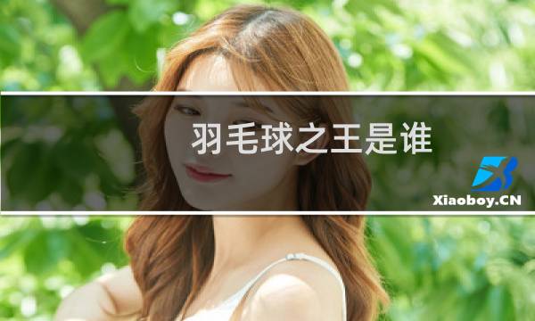 羽毛球之王是谁