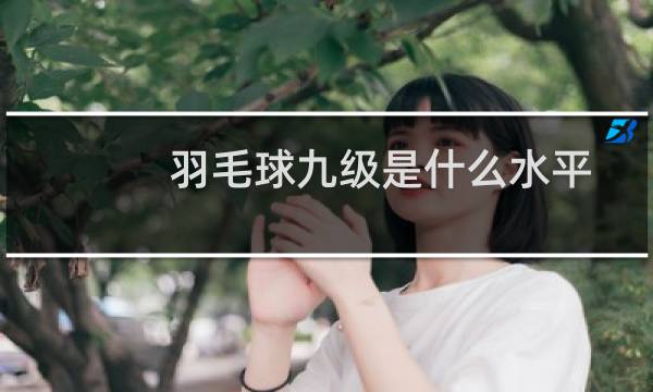 羽毛球九级是什么水平