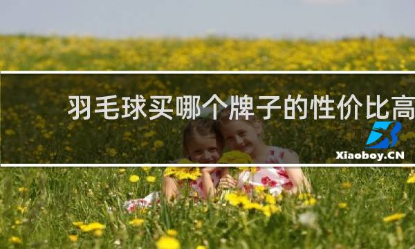 羽毛球买哪个牌子的性价比高