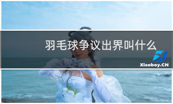 羽毛球争议出界叫什么