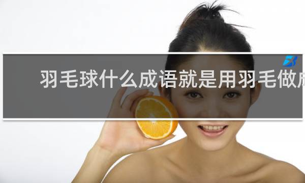 羽毛球什么成语就是用羽毛做成的球