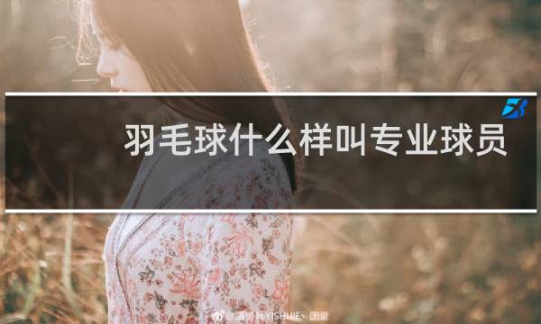羽毛球什么样叫专业球员