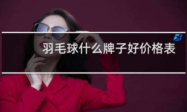 羽毛球什么牌子好价格表
