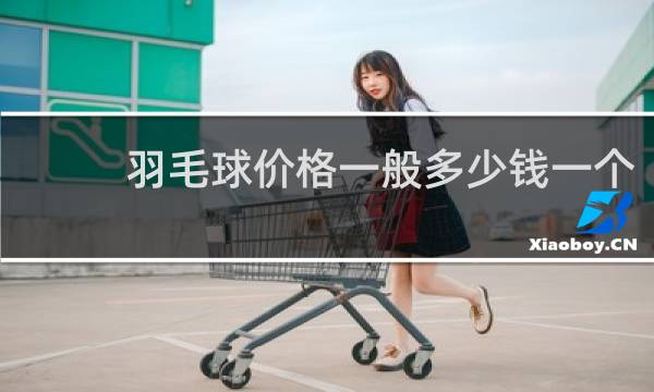 羽毛球价格一般多少钱一个