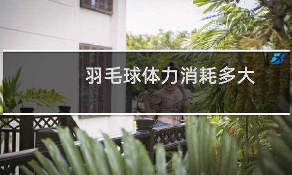 羽毛球体力消耗多大