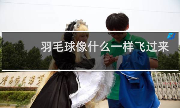 羽毛球像什么一样飞过来