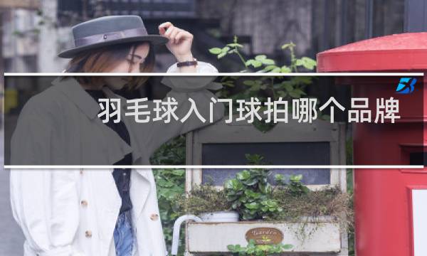 羽毛球入门球拍哪个品牌
