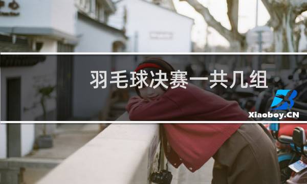 羽毛球决赛一共几组