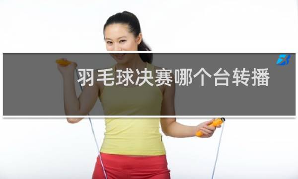 羽毛球决赛哪个台转播