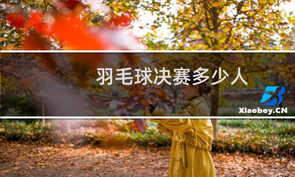 羽毛球决赛多少人