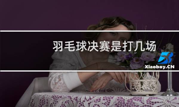 羽毛球决赛是打几场