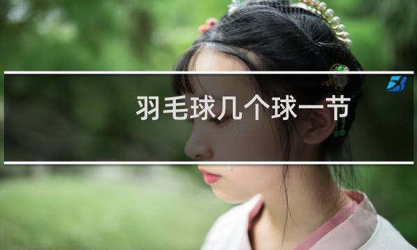 羽毛球几个球一节