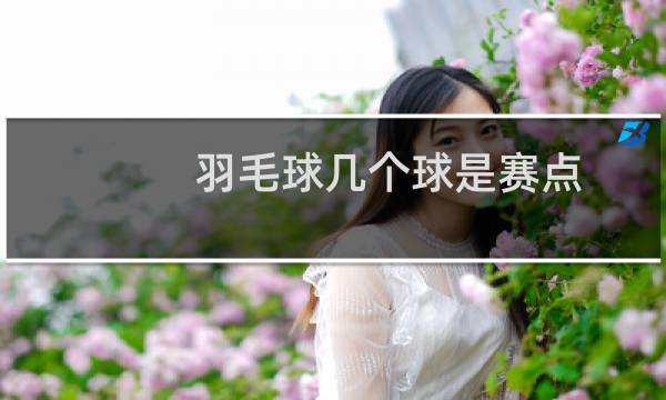羽毛球几个球是赛点