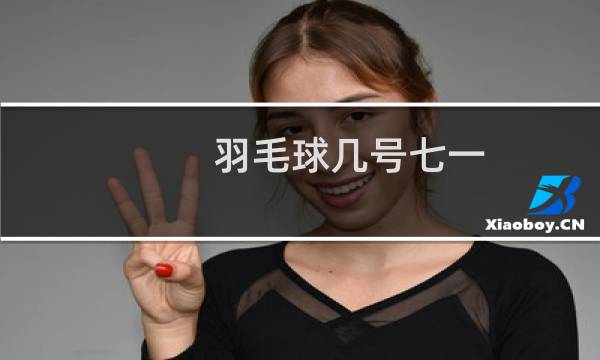 羽毛球几号七一