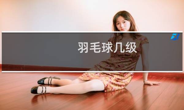 羽毛球几级
