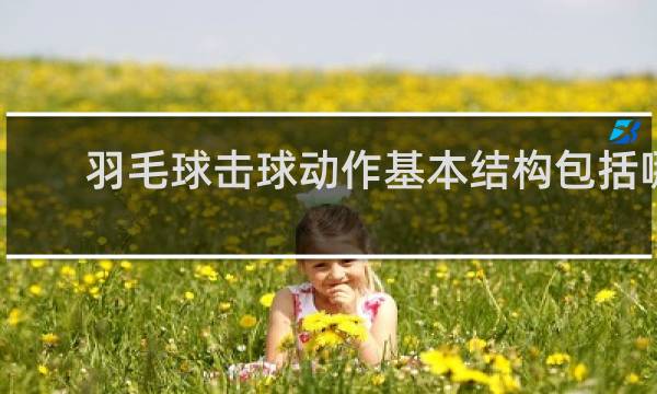 羽毛球击球动作基本结构包括哪四个环节